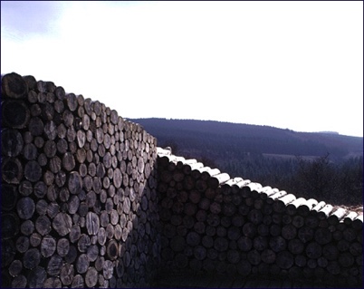 Detail, Sheltered seat, Keilder Forest 